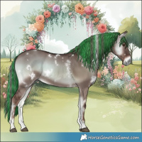 Horse Color:Painted White Spotted Liver Red Dun Onyx Sabino Rabicano