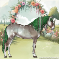 Horse Color:Painted White Spotted Liver Red Dun Onyx Sabino Rabicano 