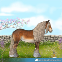 Horse Color:Chocolate Palomino Tobiano 