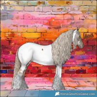 Horse Color:Chocolate Palomino Tobiano Appaloosa