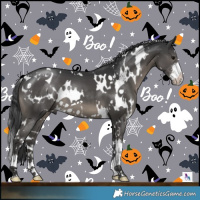 Horse Color:White Spotted Black
