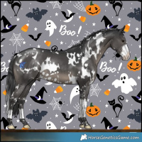 Horse Color:White Spotted Black