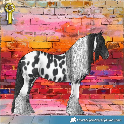 Horse Color:Black Tobiano Appaloosa