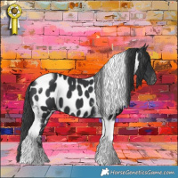 Horse Color:Black Tobiano Near Leopard 