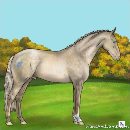 Horse Color:Chocolate Palomino Pearl 