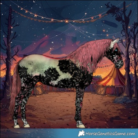Horse Color:Void Watercolor Liver Red Dun Onyx Sabino Splash Tobiano Rabicano