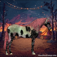 Horse Color:Void Watercolor Liver Red Dun Onyx Sabino Splash Tobiano Rabicano 