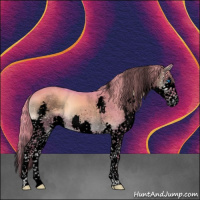 Horse Color:Void Watercolor White Spotted Liver Red Dun Onyx Splash Tobiano 