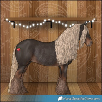 Horse Color:Liver Chestnut Rabicano 