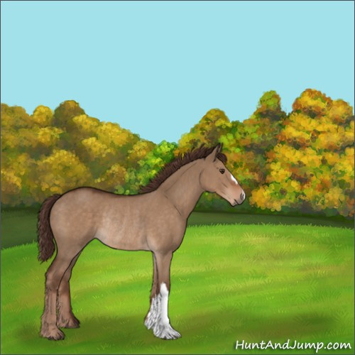 Horse Color:Liver Red Dun Rabicano 