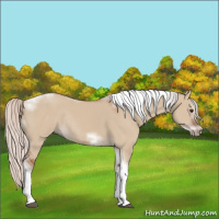 Horse Color:Silver Bay Dun Sabino Tobiano Frame Rabicano 