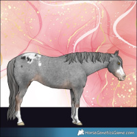 Horse Color:Liver Chestnut Varnish 