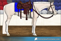 Horse Color:Gold Cream Champagne Pearl 