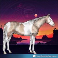 Horse Color:Silver Blue Onyx Ice Splash Tobiano