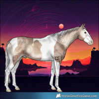 Horse Color:Silver Blue Onyx Ice Splash Tobiano 