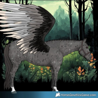 Horse Color:Smoky Black Ice 