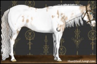 Horse Color:Chocolate Palomino Pearl Tobiano Frame Near Leopard  and Chocolate Palomino Pearl Tobiano Frame Near Leopard 