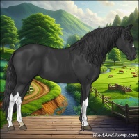Horse Color:Black 