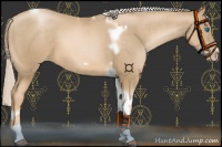 Horse Color:Chocolate Palomino Pearl Tobiano Frame  and Chocolate Palomino Pearl Tobiano Frame 