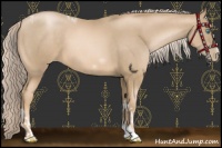 Horse Color:Chocolate Palomino Pearl Tobiano Frame and Chocolate Palomino Pearl Tobiano Frame