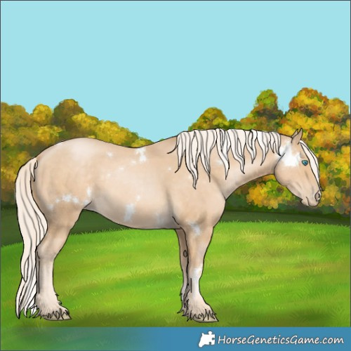Horse Color:White Spotted Palomino Pearl Rabicano 