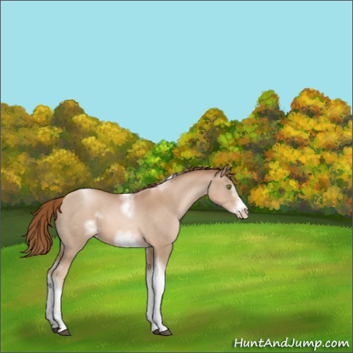 Horse Color:White Spotted Liver Chestnut Pearl Tobiano Frame Rabicano 