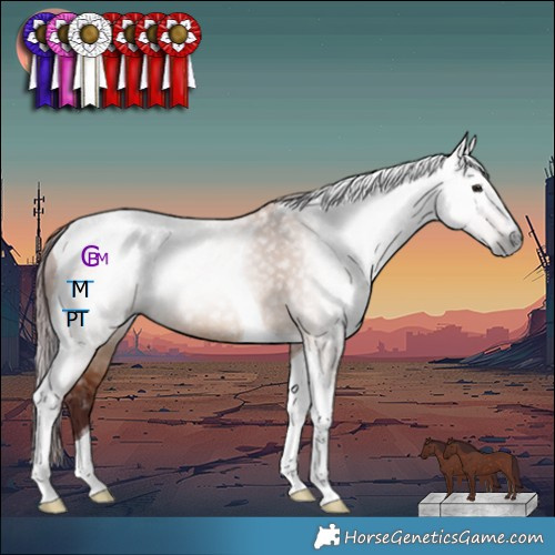 Horse Color:Gray Chocolate Bay Dun Tobiano