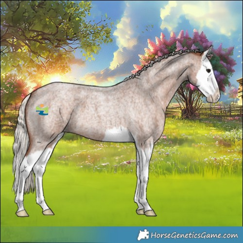 Horse Color:Silver Blue Roan Splash 