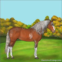 Horse Color:White Spotted Silver Brown 