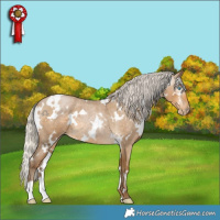 Horse Color:Gray White Spotted Silver Smoky Blue Roan Pearl 