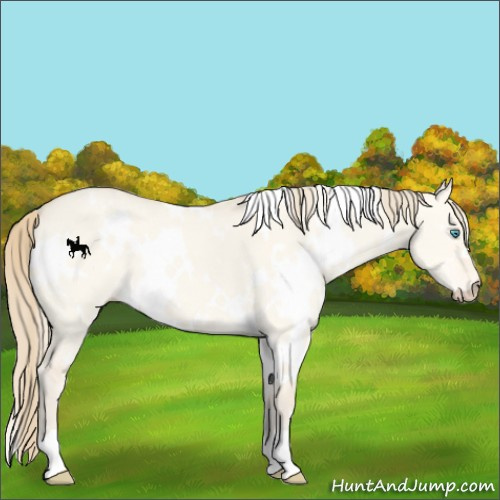Horse Color:White Spotted Perlino Dun 
