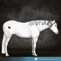 Horse Color:Perlino Dun Varnish 