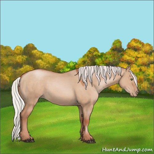 Horse Color:Silver Grullo Pearl 