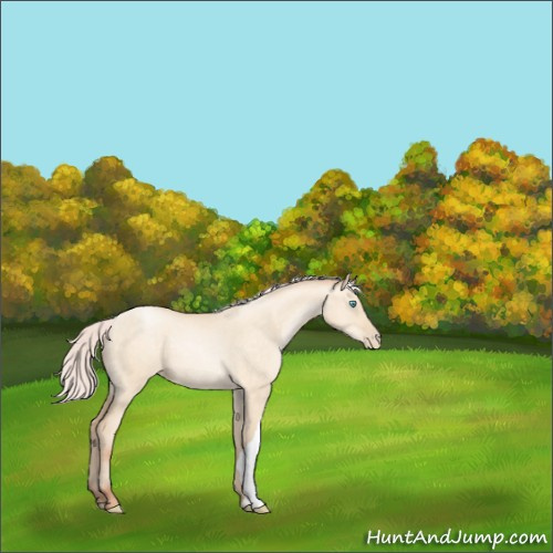 Horse Color:Silver Sable Cream Champagne Pearl Dun Rabicano 