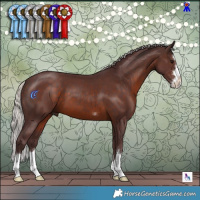 Horse Color:Chocolate Silver Brown