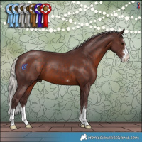 Horse Color:Chocolate Silver Brown 