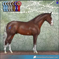 Horse Color:Chocolate Silver Brown 