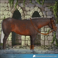 Horse Color:Silver Brown 