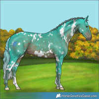Horse Color:Watercolor White Spotted Liver Chestnut 