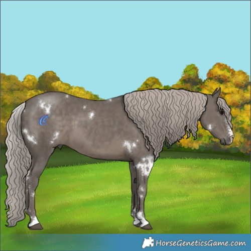 Horse Color:White Spotted Silver Black 