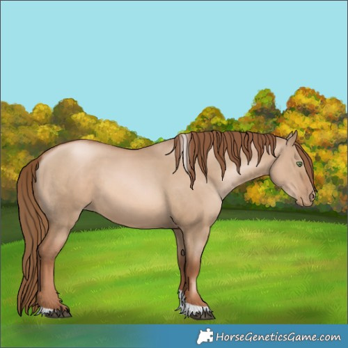 Horse Color:Liver Red Dun Pearl Tobiano Rabicano 
