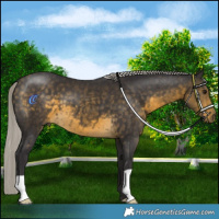 Horse Color:Silver Buckskin 
