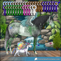 Horse Color:Brown Chinchilla 