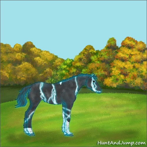 Horse Color:Thunderstruck Black Tobiano Rabicano 