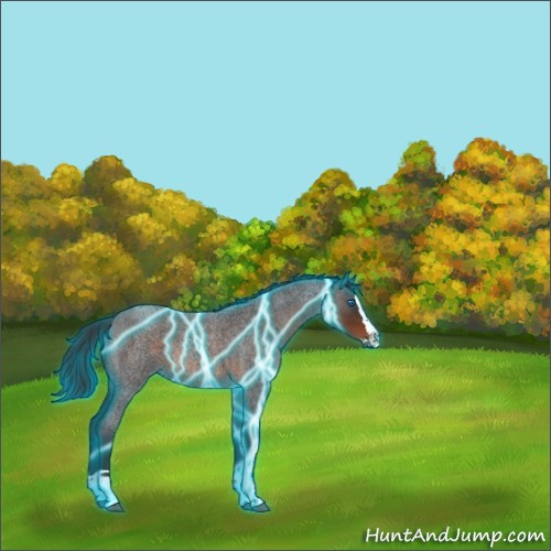 Horse Color:Thunderstruck Brown Roan Splash Rabicano 