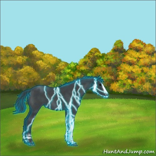 Horse Color:Thunderstruck Blue Roan Splash Tobiano Rabicano 