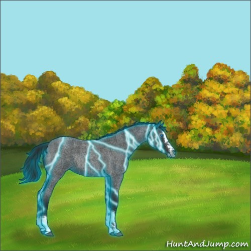 Horse Color:Gray Thunderstruck Blue Roan Splash Rabicano 