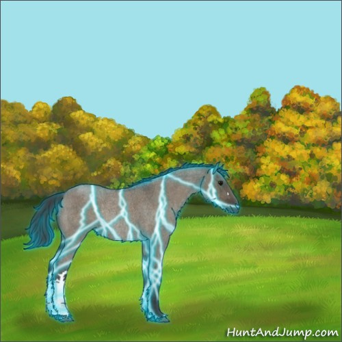 Horse Color:Thunderstruck Smoky Grullo Roan Rabicano 