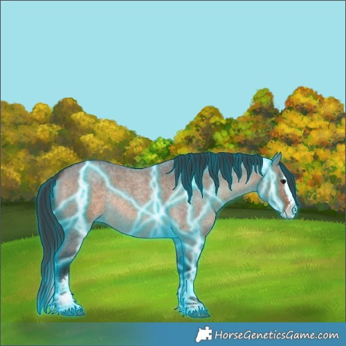 Horse Color:Thunderstruck Brown Roan Dun Splash Rabicano 