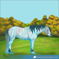 Horse Color:Thunderstruck Smoky Grullo Roan Sabino Splash Rabicano 
